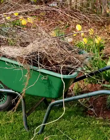 Yard Debris Removal